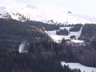 cannoni nel bosco